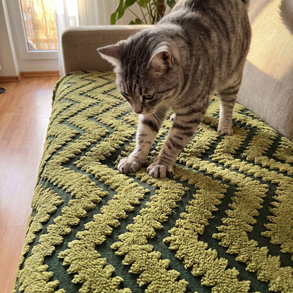 FlauschFit Olivgrün mit Katze auf dem Sofa