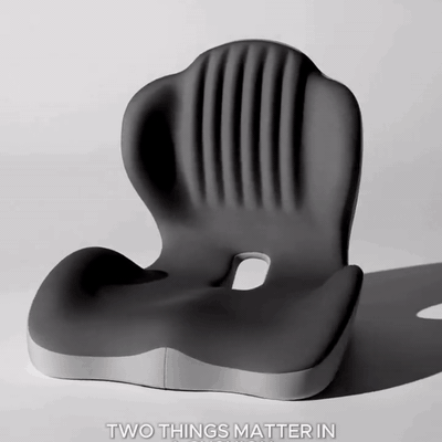 ergositz-ergonomisches-sitzkissen-mit-r-ckenst-tze-423-gifsec