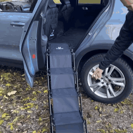 safesteig-hundetreppe-f-rs-auto-mit-sicherheitsstu-444-gifsec