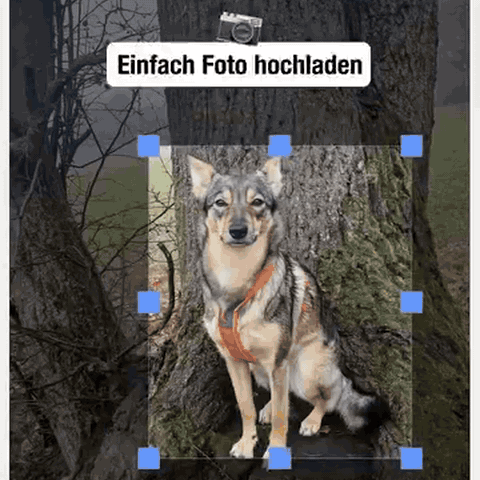 personalisierte-hunde-leinwand-im-aquarell-stil-mi-1312-gifsec