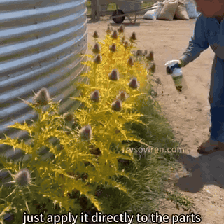 gif — Désherbant Naturel Sans Glyphosate