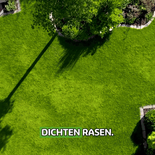 gif — RasenVital™ Flüssiger Sommerdünger – Für Sichtbar Grüneren Rasen