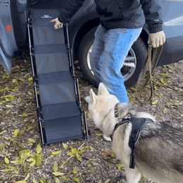 gif — SafeSteig™ Hundetreppe fürs Auto mit Sicherheitsstufe