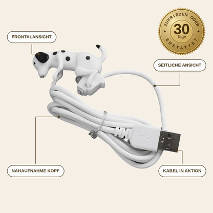 infographie — DalmoHug™ – Dalmatiner USB-C Ladekabel mit Wackel-Effekt