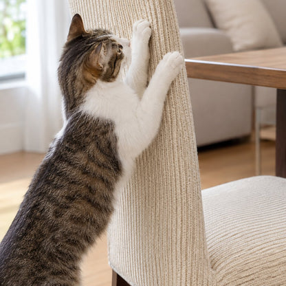 situation — Stuhlhusse mit Sisal-Kratzmatte – Schützt Möbel vor Katzenkrallen