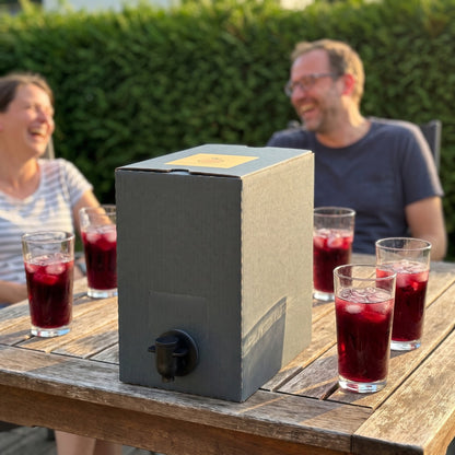 VitaTap Sirup-Box auf dem Gartentisch mit vier gefüllten Gläsern